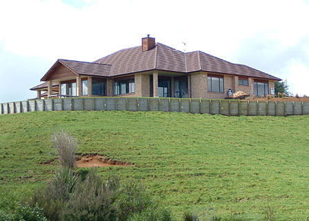 Image Three